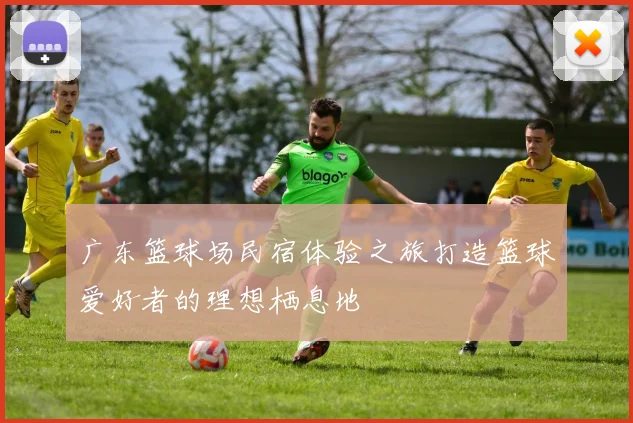 广东篮球场民宿体验之旅打造篮球爱好者的理想栖息地