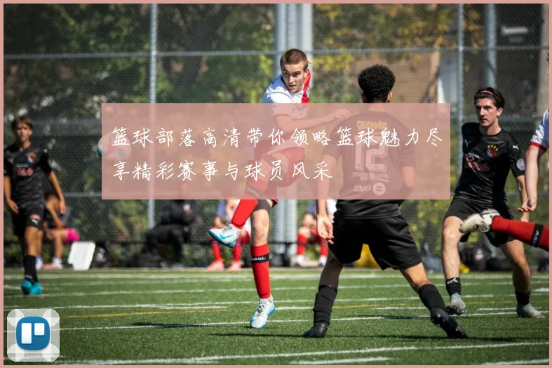 篮球部落高清带你领略篮球魅力尽享精彩赛事与球员风采