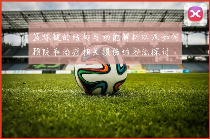 篮球腱的结构与功能解析以及如何预防和治疗相关损伤的方法探讨